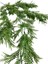 Yapay Çiçek Sarkan Çiçek Yeşil Mat FERN725 Yapay Sarmaşık 70*30CM Uv Katkılı Güneşe Dayanıklı 5
