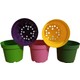 Tuğel Flowers 10 Adet Renkli Plastik Saksi 10.5 Cm.Lik (St1)