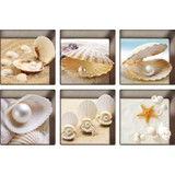 Acelit 3D Küvet Aplikler Etiketler Çıkartmaları Kaymaz Küvet Dövmeler 6'lı 13X13 cm (Yurt Dışından)