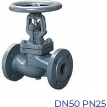 Termo Glob Vana DN50 PN25 Fl