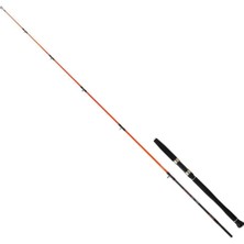 Daiwa Megaforce 1.90M 90-210GR 2p Jig Olta Kamışı