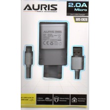 Auris CH28 Micrı USB Şarj Aleti