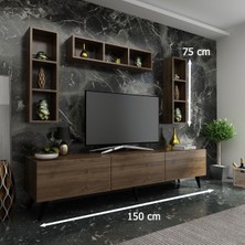 Myniture Festival Tv Ünitesi Q3807-2 Ceviz