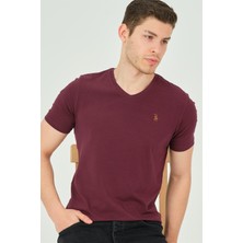 Dewberry T8568 Dewberry V Yaka Erkek T-Shirt-Mor