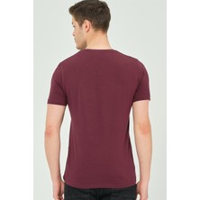 Dewberry T8568 Dewberry V Yaka Erkek T-Shirt-Mor