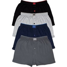 Katmirra 4 Lu Penye Boxer