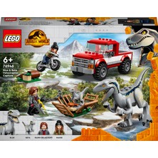 LEGO Jurassic World# Blue ve Beta Velociraptor Yakalama 76946 - 6 Yaş ve Üzeri Çocuklar için Dinozor Oyuncağı Yapım Seti (181 Parça)