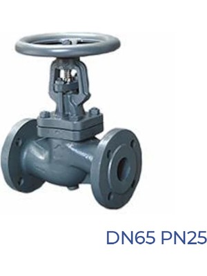 Termo Glob Vana DN65 PN25 Fl