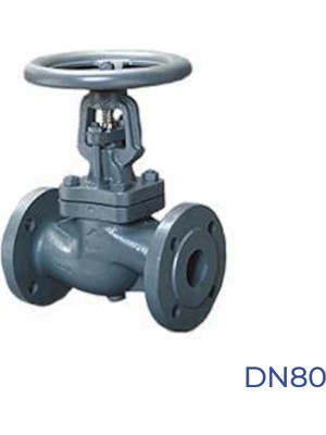 Termo Glob Vana DN80 PN16 Fl