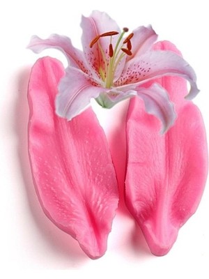 I&g Kalıp 2 Adet Zambak Çiçek Yaprak Kabartma- Damarlama Silikon Kalıp