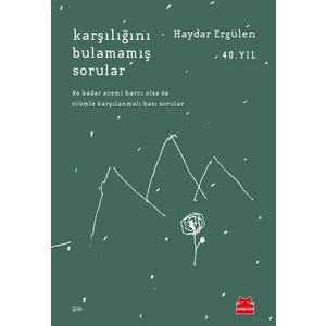 Karşılığını Bulamamış Sorular - 
Haydar Ergülen
