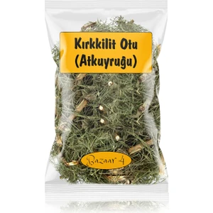 Bazaar 4 Kırk Kilit Otu - At Kuyruğu - Horsetail Herb