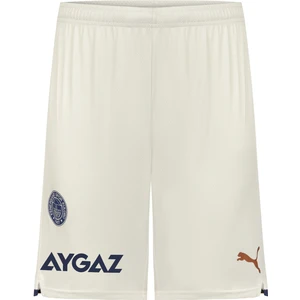 PUMA Fenerbahçe SK Şort