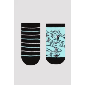 Mix Stripe Shark 2li Patik Çorap