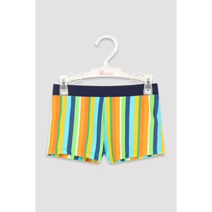 Erkek Çocuk Çok Renkli Çizgili Boxer Mayo