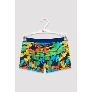 Paint Dino Trunk Mayo