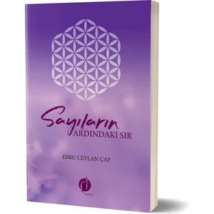 Sayıların Ardındaki Sır - Ebru Ceylan Çap
