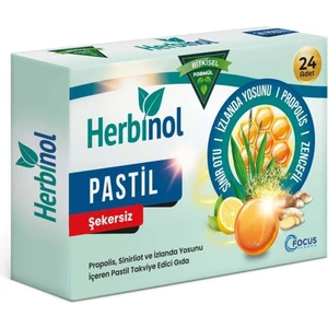 Pastil Şekersiz 24 Adet