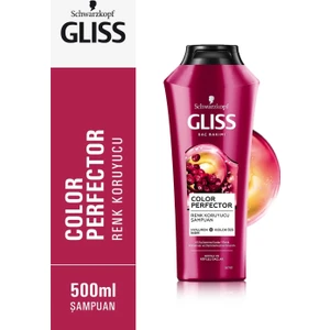 Color Perfector Renk Koruyucu Şampuan - Hyaluron İksiri ve Kızılcık Özü ile 500 ml