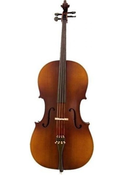 Wn-21 3/4 Masif Ağaç Abanoz Aksam Çello