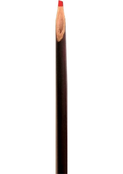 Kamış Kalem Naturel- Orta Boy 18-24CM (1 Adet)