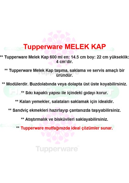Melek Kap 2'li 650 ml Saklama Servis Kabı Hsgl modelleri