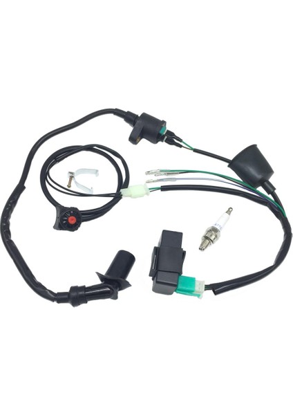 Ateşleme Bobini Cdı Kill Anahtarı 50CC 110CC 125CC Atv Pit Dirt Bike (Yurt Dışından) fiyatları