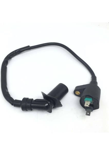 Ateşleme Bobini Cdı Kill Anahtarı 50CC 110CC 125CC Atv Pit Dirt Bike (Yurt Dışından) fırsatları