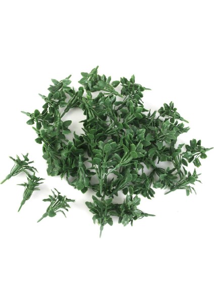 50 Adet Model Bitki (Yurt Dışından)