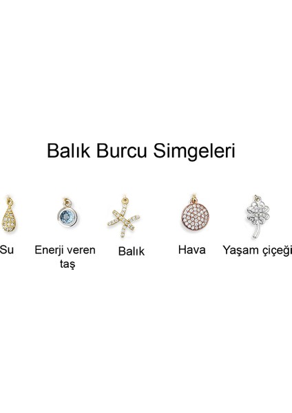 Balık Burcu Gümüş Bileklik BLTG.103 fiyatları