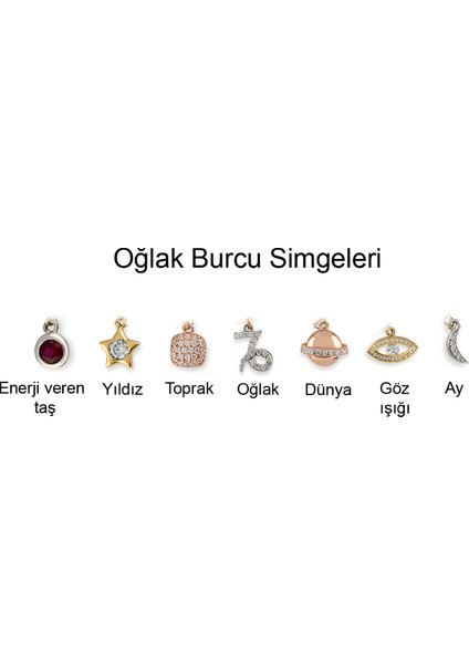 Oğlak Burcu Gümüş Bileklik BLTG.120 fiyatları