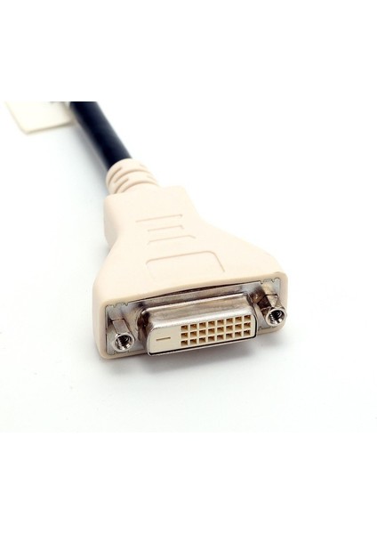 Displayport Dvı Çevirici Adaptör 24+1