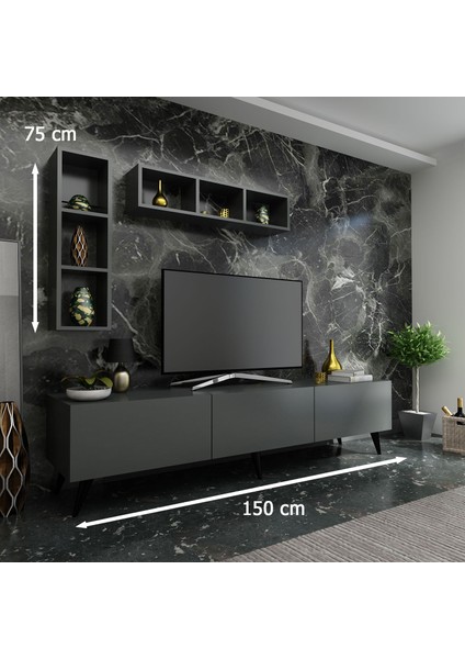 Festival Tv Ünitesi Q3804-4 Antrasit fiyatları