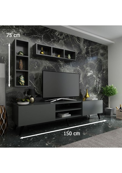 Festival Tv Ünitesi Q3805-4 Antrasit