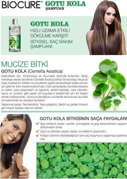 Saç Gotu Kola Bitkisel Bakım Şampuanı ZayıfDökülen Saçlara 10 Bitki 4 Vitaminli