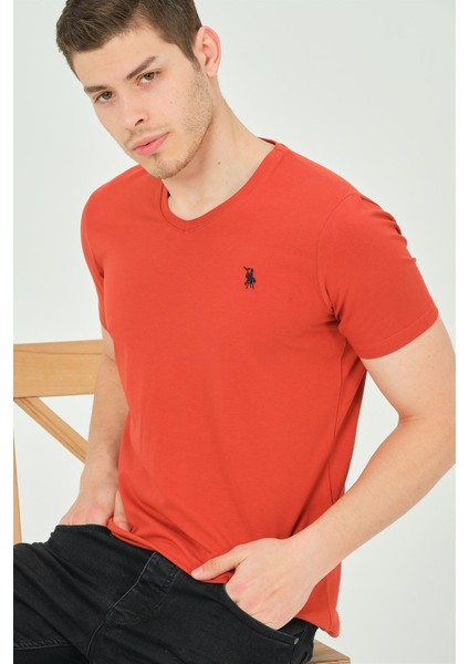 T8568 Dewberry V Yaka Erkek T-Shirt-Kiremit modelleri
