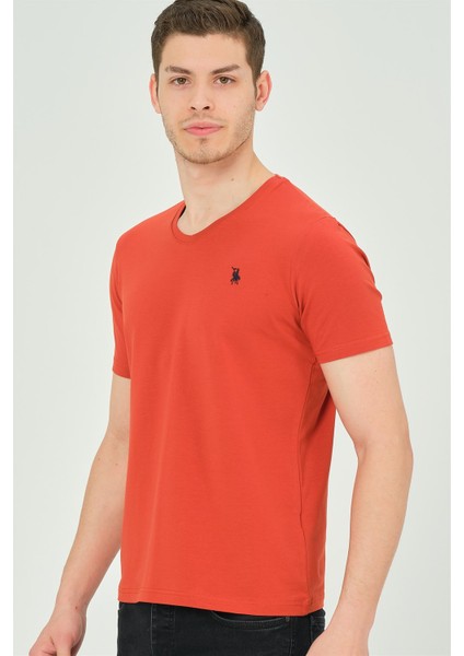 T8568 Dewberry V Yaka Erkek T-Shirt-Kiremit indirimleri