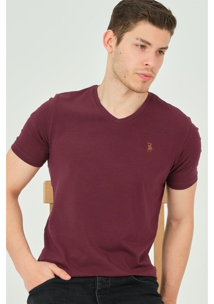 T8568 Dewberry V Yaka Erkek T-Shirt-Mor