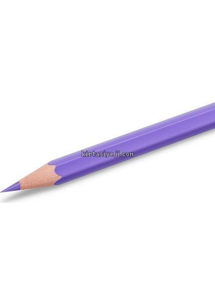 Kuru Boya 12LI Bic Kids modelleri