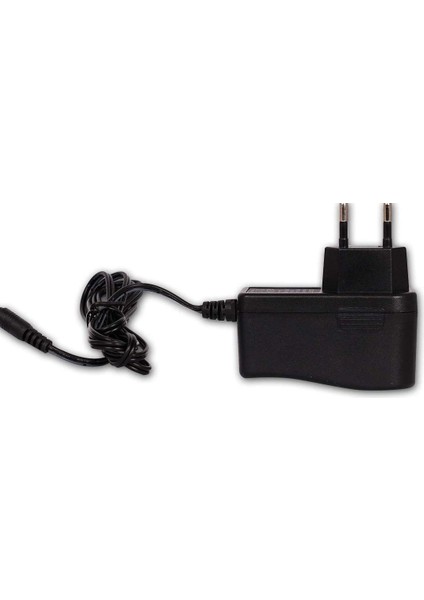Kamera Için 24V-30V 170MA-500MA (0.17A-0.5A) Adaptör - Şarj Aleti Retro