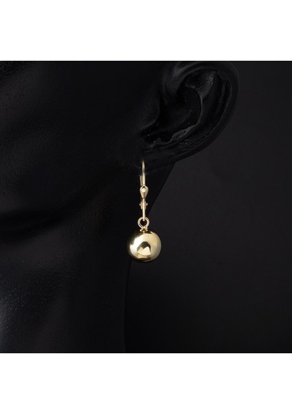 Toplu 14 Ayar Sallantılı Altın Küpe fiyatları