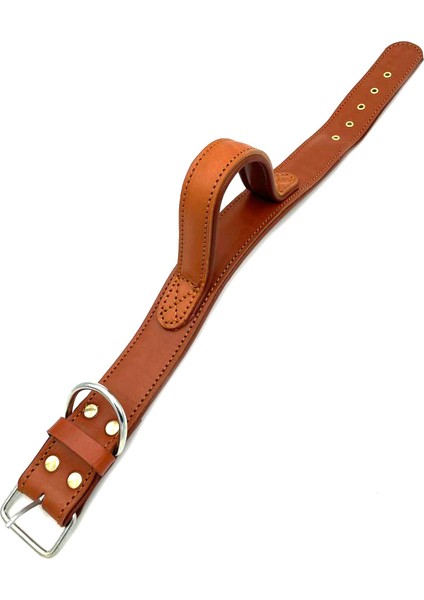 Tutma Kulplu Deri Köpek Tasması Kahverengi 55-73 cm modelleri