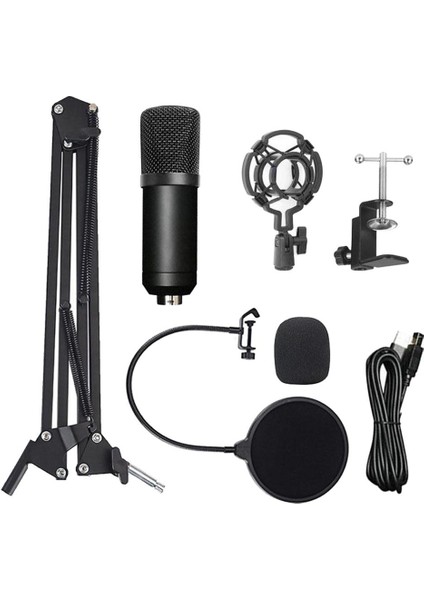 Dizüstü Bilgisayar İçin Kondenser Mikrofon Pc Stüdyo Kayıt Podcasting (Yurt Dışından)