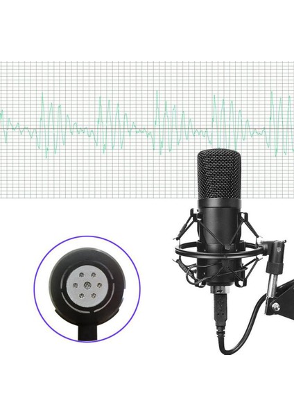Dizüstü Bilgisayar İçin Kondenser Mikrofon Pc Stüdyo Kayıt Podcasting (Yurt Dışından)