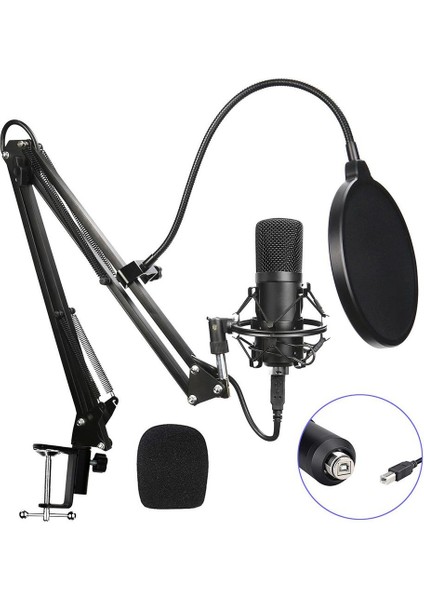 Dizüstü Bilgisayar İçin Kondenser Mikrofon Pc Stüdyo Kayıt Podcasting (Yurt Dışından)