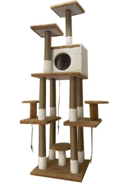 Pet Home Pethome Duman Mia Kedi Tırmalama Evleri