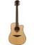 Gla T88DCE / Tramontane Dreadnought Akustik Gitar 1