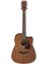PF12MHCE-OPN Performance Serisi Cutaway Dreadnought Elektro Akustik Gitar 2