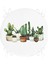 Real Homes Beatiful Cactus Dijital Baskılı Yuvarlak Fermuarlı Sandalye Minderi 4
