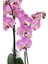 Phalaenopsis Orkide 60-80CM Çift Dallı Ithal Soft Pembe Benekli 3